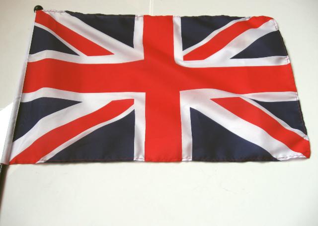 Handheld Car Flag (30x45cm)