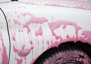 Active Foam & Car Shampoo